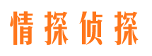 金山屯市侦探